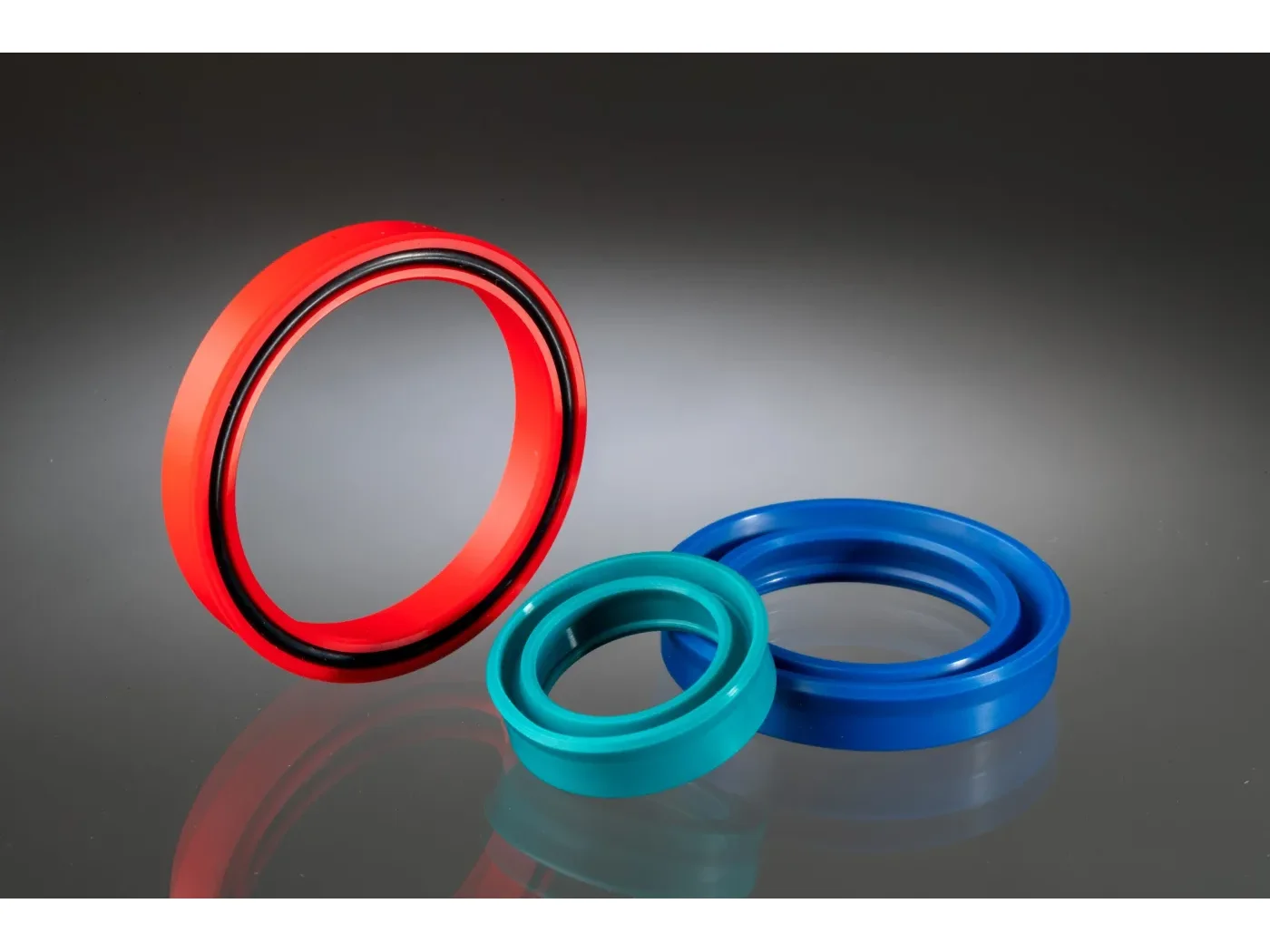 Rod Seal