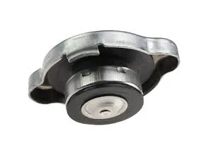 Radiator Caps
