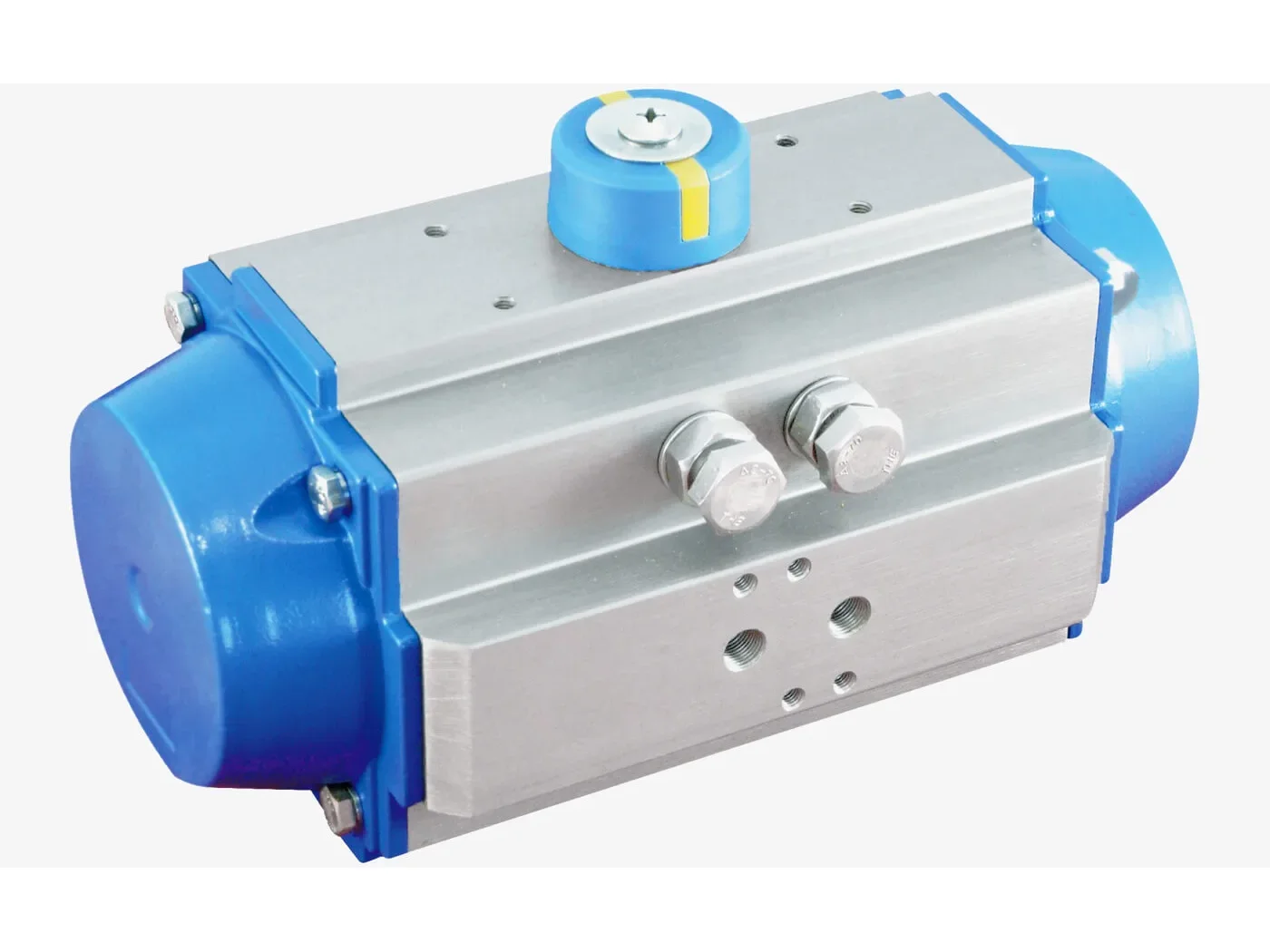 Pneumatic Actuators
